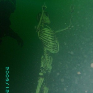 2009-12-13_03_Bones