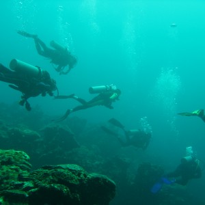 Veracruz Reefs