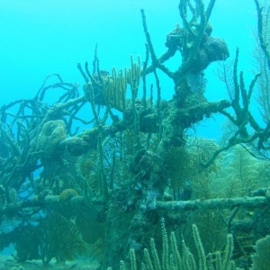 Prince Albert Wreck