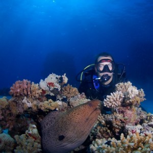Red sea