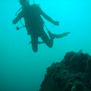 The Produce wreck just north of Aliwal Shoal. .