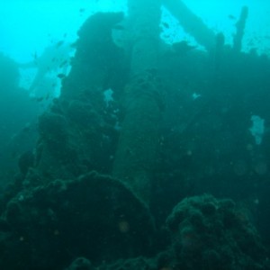 The Produce wreck just north of Aliwal Shoal. .