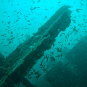 The Produce wreck just north of Aliwal Shoal. .