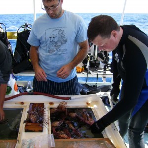 Steve Broadhurst and NOAA scientist deompressing lionfish swim bladders