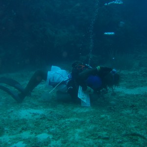 Divemaster Mark blowing air rings