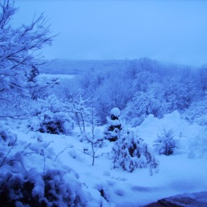 winter_004