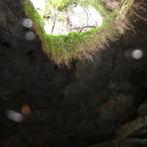 2010-01-24 Devils Den View from down in the sinkhole