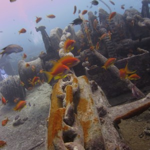 The SS Thistlegorm