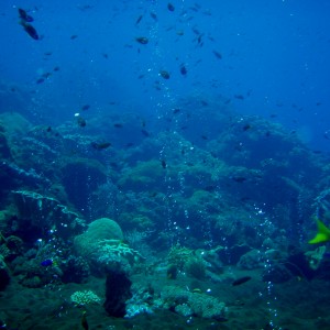 Media 'Hot Rocks - Komodo Islands' in category 'Member Galleries'