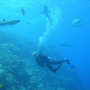 Me at Osprey reef on the GBR