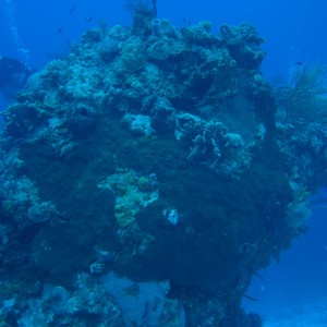IMG_04214