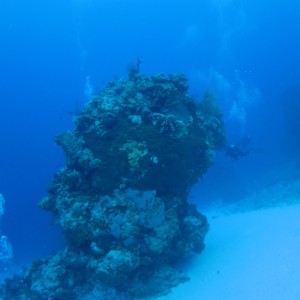 IMG_04222