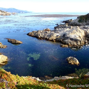 17 Mile Drive, California