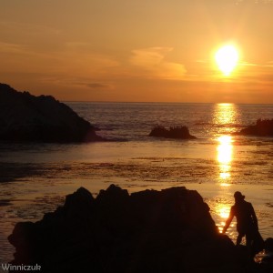 17 Mile Drive Sunset