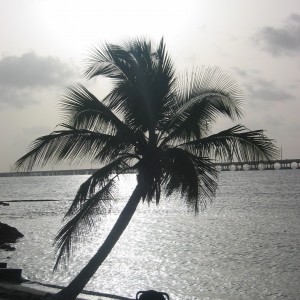 Bahia Honda, Florida Keys