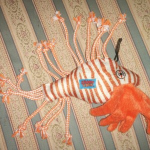 Lionfish_Dog_Toy_1C