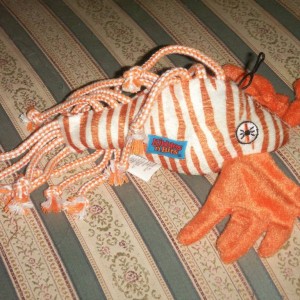 Lionfish_Dog_Toy_2C