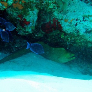 Cozumel 2010