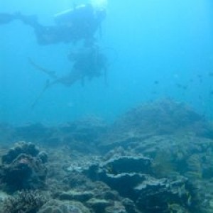 Scuba diving from Kota Kinabalu, Sabah with Borneo Dream