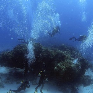 Cedral Pass divers