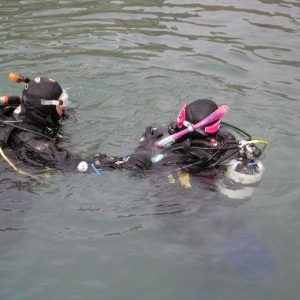 assorted pics from capernwray quarry