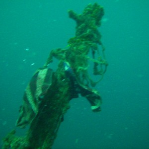 Wreck Dive off Pompano Beach, Florida