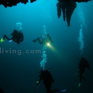 Cave & Cenote Diving - Riviera Maya, Mexico