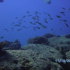 El Bajo reef at Cabo Pulmo, Mexico