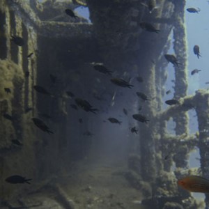 Ogliastra wrecks