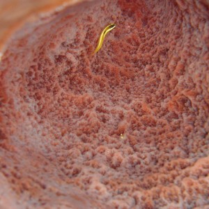P3040290