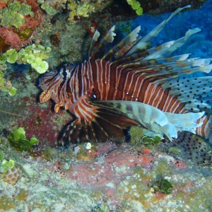 P3010215