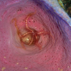 P3010218