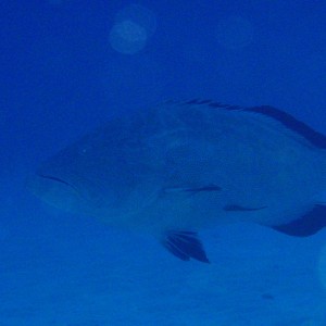 P3010231