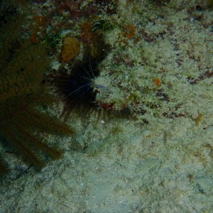 P3010235