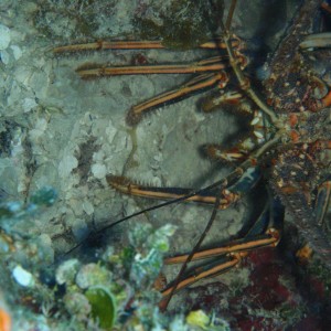 P3040265