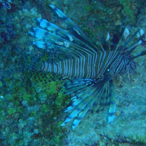 P3040267