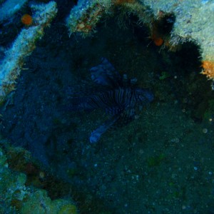P3040270