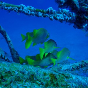 P3010181