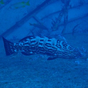 P3010186