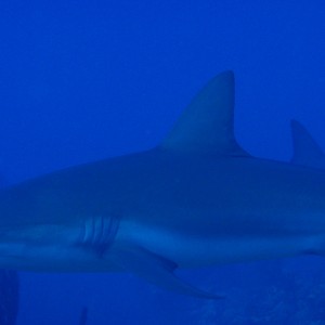 P3010192