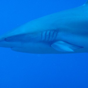 P3010193