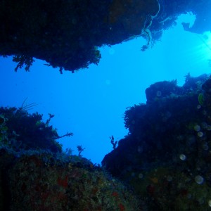 P3010198