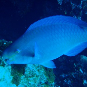 P3010203