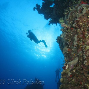 Egyptian Red Sea 2009