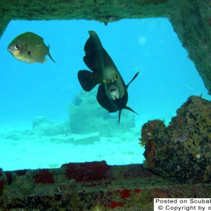 Snorkeling, Hotel Cozumel