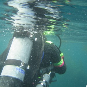 Diver on surface