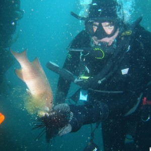 Feeding fish