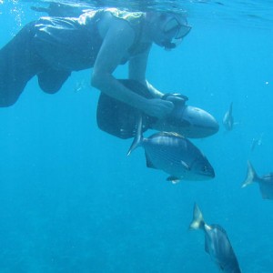 Key Largo snorkel trip