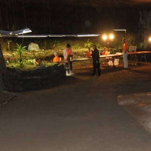 2010 Bonne Terre Mine Treasure Hunt