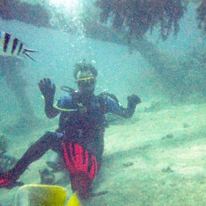 Under a structure intended to stimulate the growth of reefs